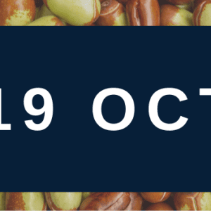 https://www.vistim-sa.com/wp-content/uploads/2022/10/1910-300x300.png