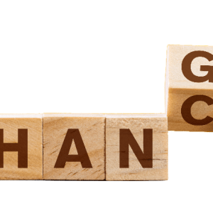 https://www.vistim-sa.com/wp-content/uploads/2023/08/Changemg-trans-e1690965622689-300x300.png